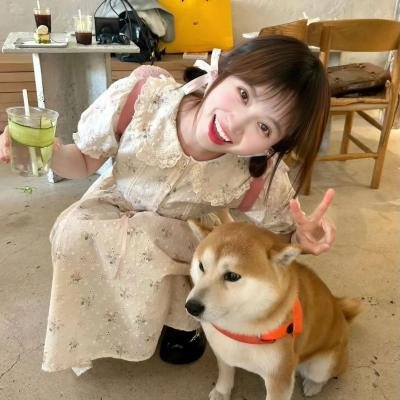 租借女友第一季